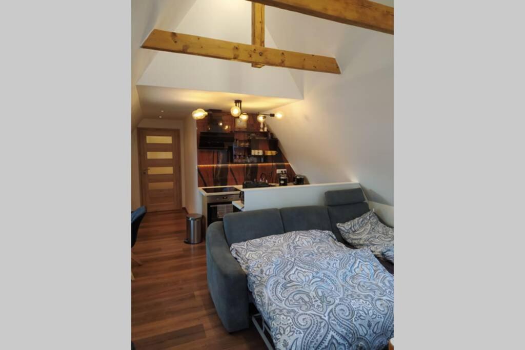 Apartman Atelier Vary V Nove Zrekonstruovanem Dome كارلوفي فاري المظهر الخارجي الصورة