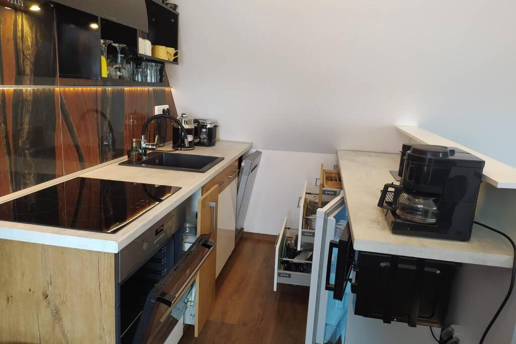 Apartman Atelier Vary V Nove Zrekonstruovanem Dome كارلوفي فاري المظهر الخارجي الصورة