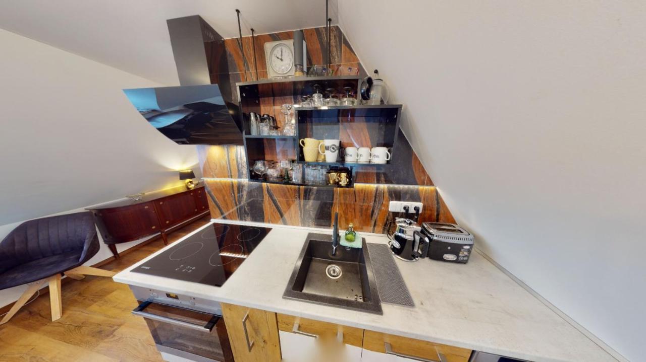 Apartman Atelier Vary V Nove Zrekonstruovanem Dome كارلوفي فاري المظهر الخارجي الصورة