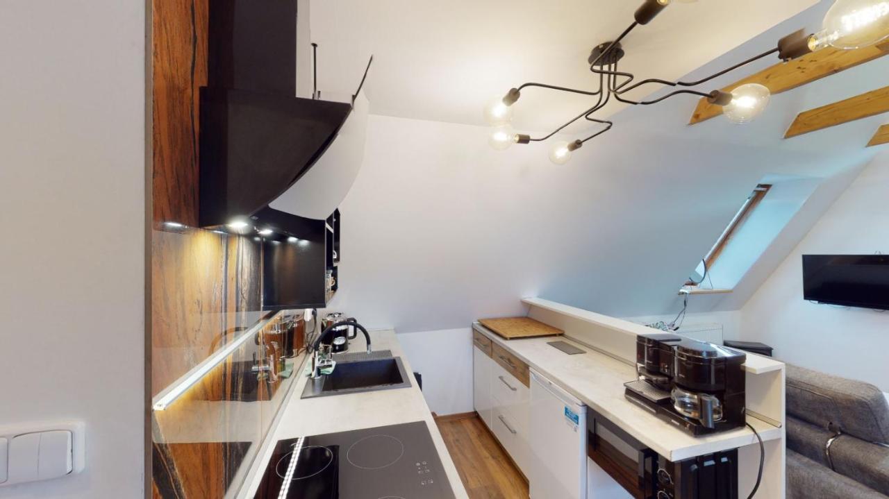 Apartman Atelier Vary V Nove Zrekonstruovanem Dome كارلوفي فاري المظهر الخارجي الصورة